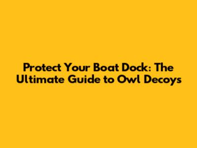 Protect Your Boat Dock: The Ultimate Guide to Owl Decoys