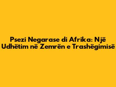 Psezi Negarase di Afrika: Një Udhëtim në Zemrën e Trashëgimisë