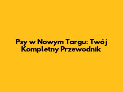 Psy w Nowym Targu: Twój Kompletny Przewodnik