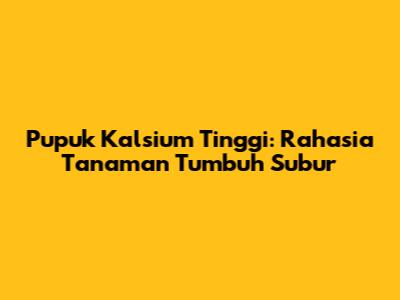 Pupuk Kalsium Tinggi: Rahasia Tanaman Tumbuh Subur