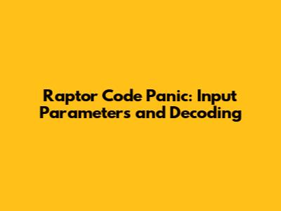Raptor Code Panic: Input Parameters and Decoding