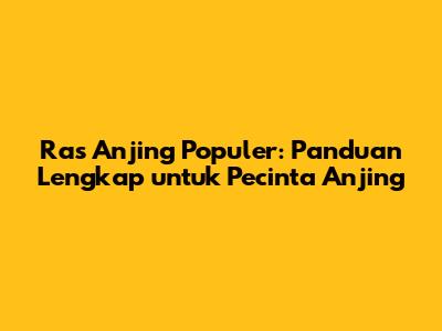 Ras Anjing Populer: Panduan Lengkap untuk Pecinta Anjing
