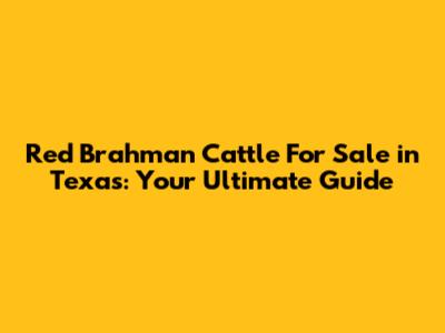 Red Brahman Cattle For Sale in Texas: Your Ultimate Guide