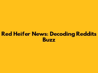 Red Heifer News: Decoding Reddit's Buzz
