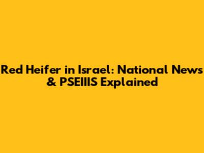 Red Heifer in Israel: National News & PSEIIIS Explained