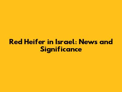Red Heifer in Israel: News and Significance