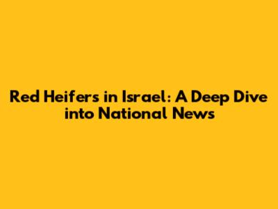 Red Heifers in Israel: A Deep Dive into National News