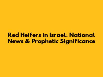 Red Heifers in Israel: National News & Prophetic Significance