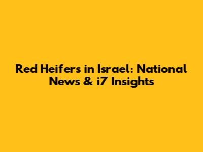 Red Heifers in Israel: National News & i7 Insights