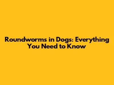 Roundworms in Dogs: Everything You Need to Know