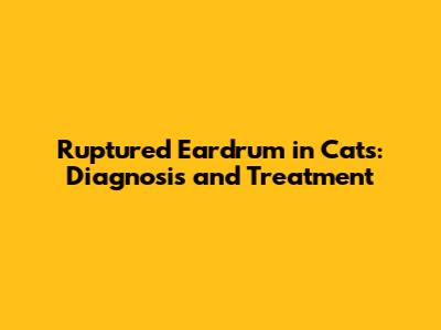 Ruptured Eardrum in Cats: Diagnosis and Treatment