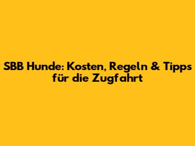 SBB Hunde: Kosten, Regeln & Tipps für die Zugfahrt