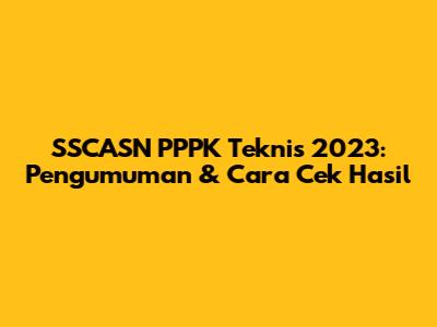 SSCASN PPPK Teknis 2023: Pengumuman & Cara Cek Hasil