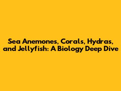 Sea Anemones, Corals, Hydras, and Jellyfish: A Biology Deep Dive