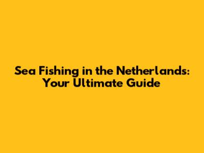 Sea Fishing in the Netherlands: Your Ultimate Guide
