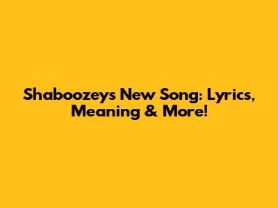 Shaboozey's New Song: Lyrics, Meaning & More!
