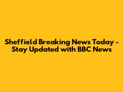 Sheffield Breaking News Today - Stay Updated with BBC News