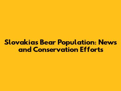 Slovakia's Bear Population: News and Conservation Efforts