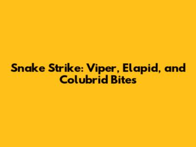 Snake Strike: Viper, Elapid, and Colubrid Bites