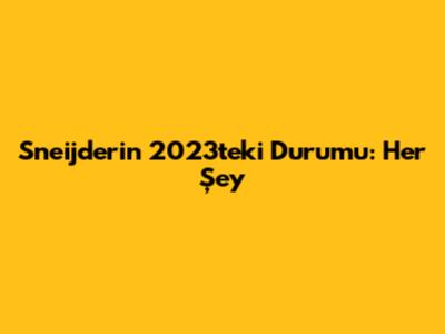 Sneijder'in 2023'teki Durumu: Her Şey