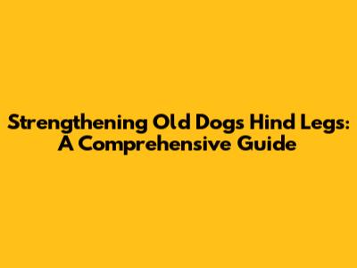 Strengthening Old Dog's Hind Legs: A Comprehensive Guide