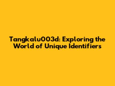 Tangkalu003d: Exploring the World of Unique Identifiers