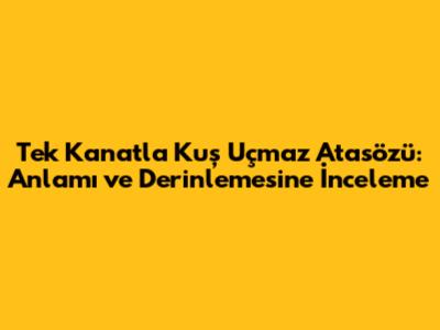 Tek Kanatla Kuş Uçmaz Atasözü: Anlamı ve Derinlemesine İnceleme