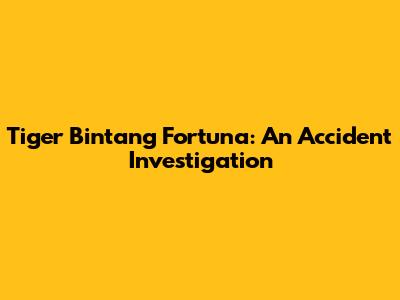 Tiger Bintang Fortuna: An Accident Investigation