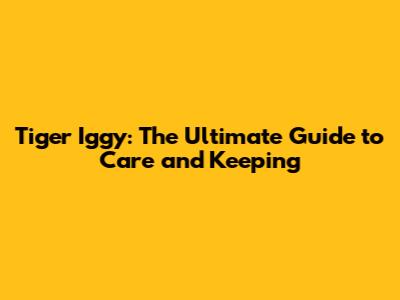 Tiger Iggy: The Ultimate Guide to Care and Keeping