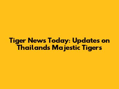 Tiger News Today: Updates on Thailand's Majestic Tigers