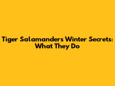 Tiger Salamanders' Winter Secrets: What They Do