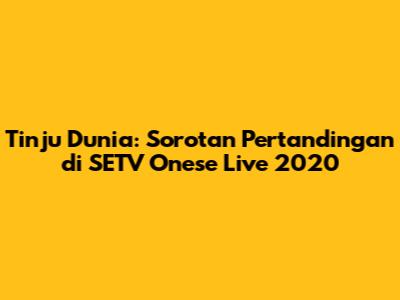 Tinju Dunia: Sorotan Pertandingan di SETV Onese Live 2020