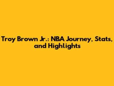 Troy Brown Jr.: NBA Journey, Stats, and Highlights
