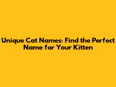 Unique Cat Names: Find the Perfect Name for Your Kitten