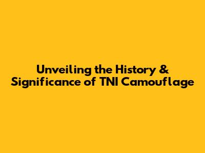 Unveiling the History & Significance of TNI Camouflage