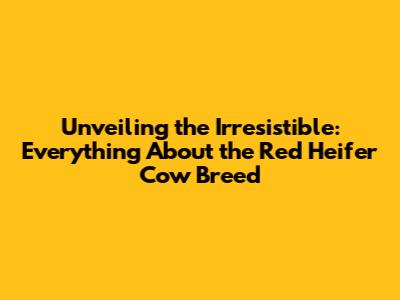 Unveiling the Irresistible: Everything About the Red Heifer Cow Breed