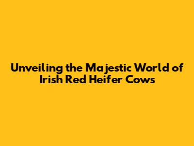 Unveiling the Majestic World of Irish Red Heifer Cows
