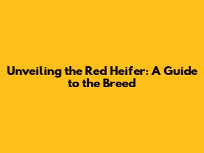 Unveiling the Red Heifer: A Guide to the Breed