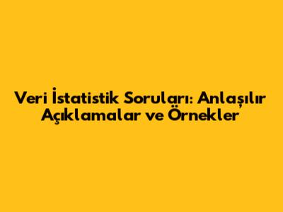 Veri İstatistik Soruları: Anlaşılır Açıklamalar ve Örnekler