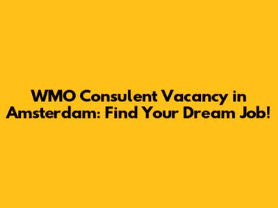 WMO Consulent Vacancy in Amsterdam: Find Your Dream Job!