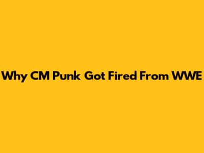 Why CM Punk Got Fired From WWE