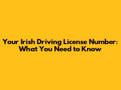 Your Irish Driving License Number: What You Need to Know